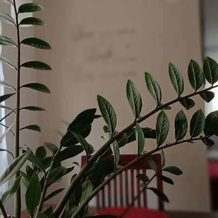 Moderne Und Schoene Apartmán *