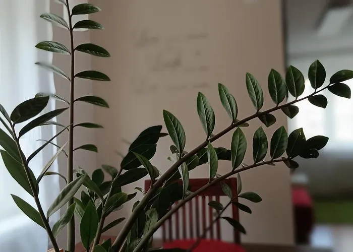 Moderne Und Schoene شقة *